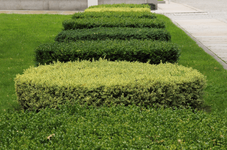 Jireh Tree Service